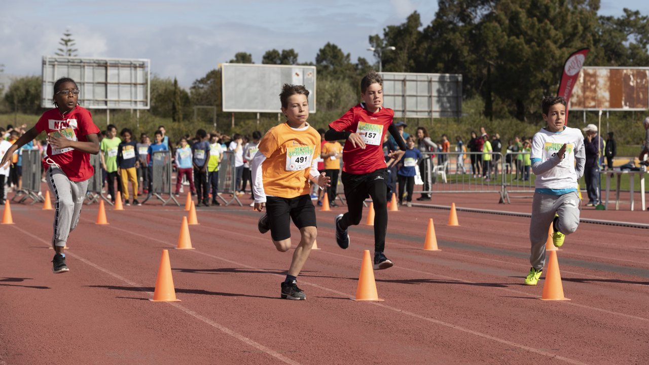 Projeto de apoio ao Desporto Escolar - Seixalíada Escolar